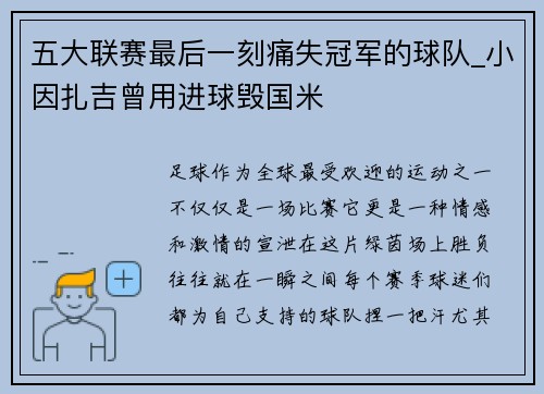 五大联赛最后一刻痛失冠军的球队_小因扎吉曾用进球毁国米