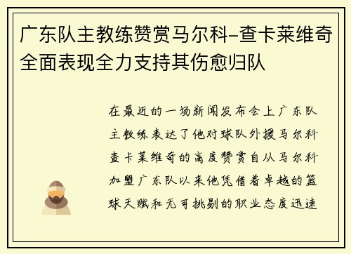 广东队主教练赞赏马尔科-查卡莱维奇全面表现全力支持其伤愈归队