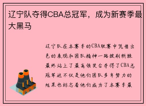 辽宁队夺得CBA总冠军，成为新赛季最大黑马